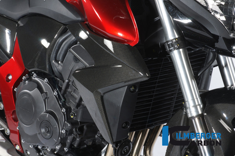 Ilmberger Carbon Water Radiator Cover Right Carbon