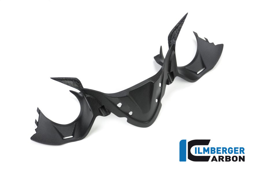 Ilmberger Carbon Instrument Panel Matt Carbon Ducati Panigale 1299 (From 2015)
