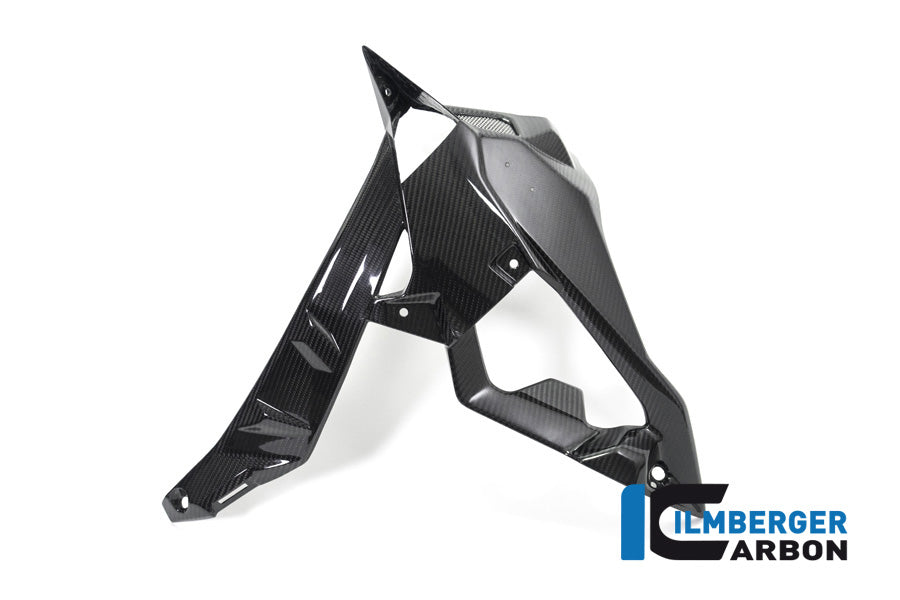 Ilmberger Carbon Radiator Cover / Badge Holder Left Side - BMW S 1000 R (Ab 2017)