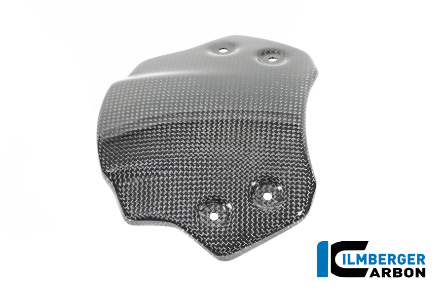 Ilmberger Carbon Windshield BMW R12 NineT - Gloss / Twill