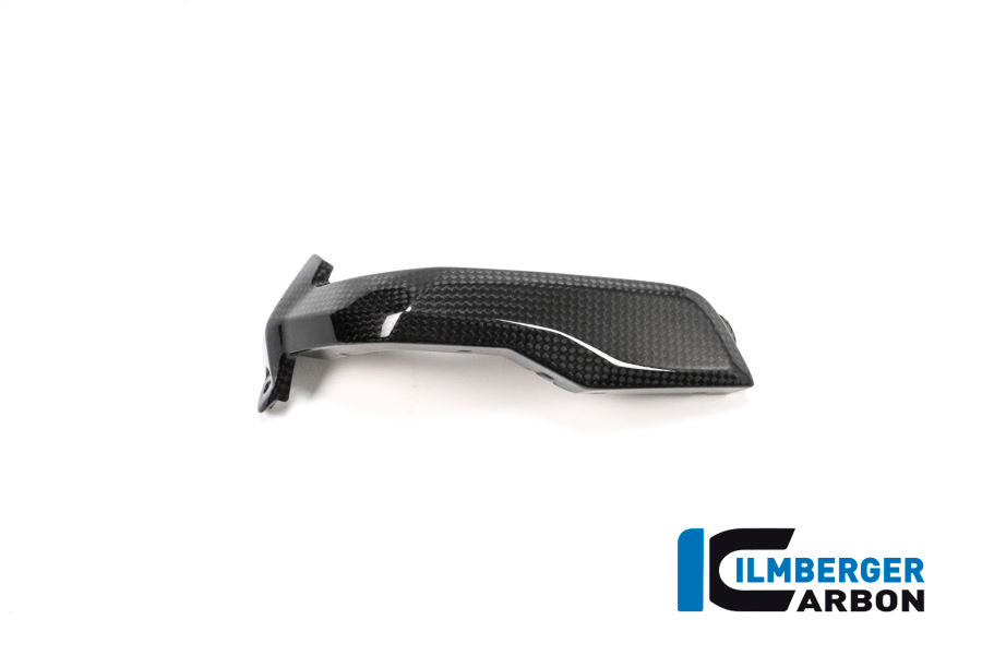 Ilmberger Carbon Spark Plug Cover Left Side Carbon - BMW R 1200 GS (LC) From 2013 To 2015