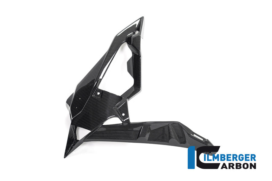 Ilmberger Carbon Radiator Cover / Badge Holder Left Side - BMW S 1000 R (Ab 2017)