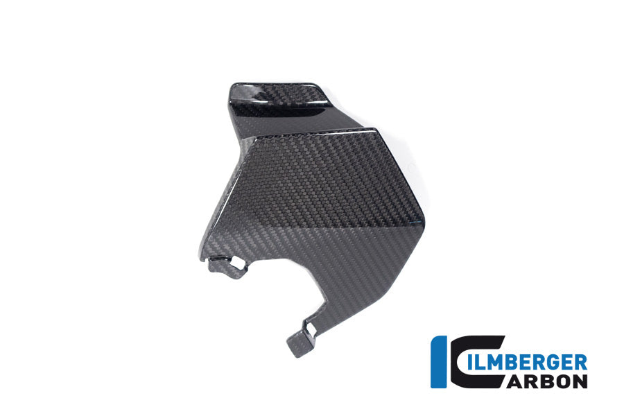 Ilmberger Carbon Upper Wing Left BMW M 1000 XR 2024