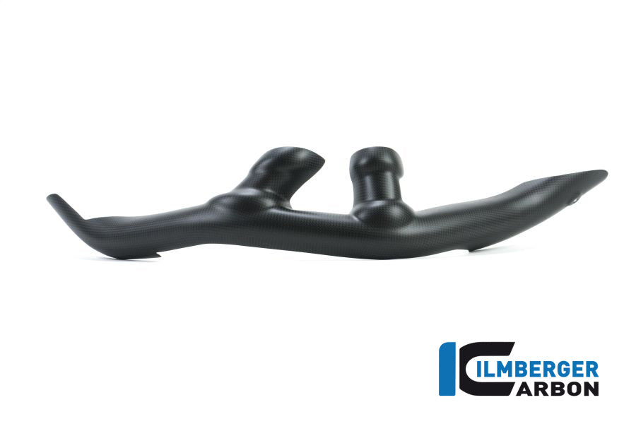 Ilmberger Carbon Swing Arm Cover Set 2-Parts Ducati XDiavel 2016 3Tlg - Matte