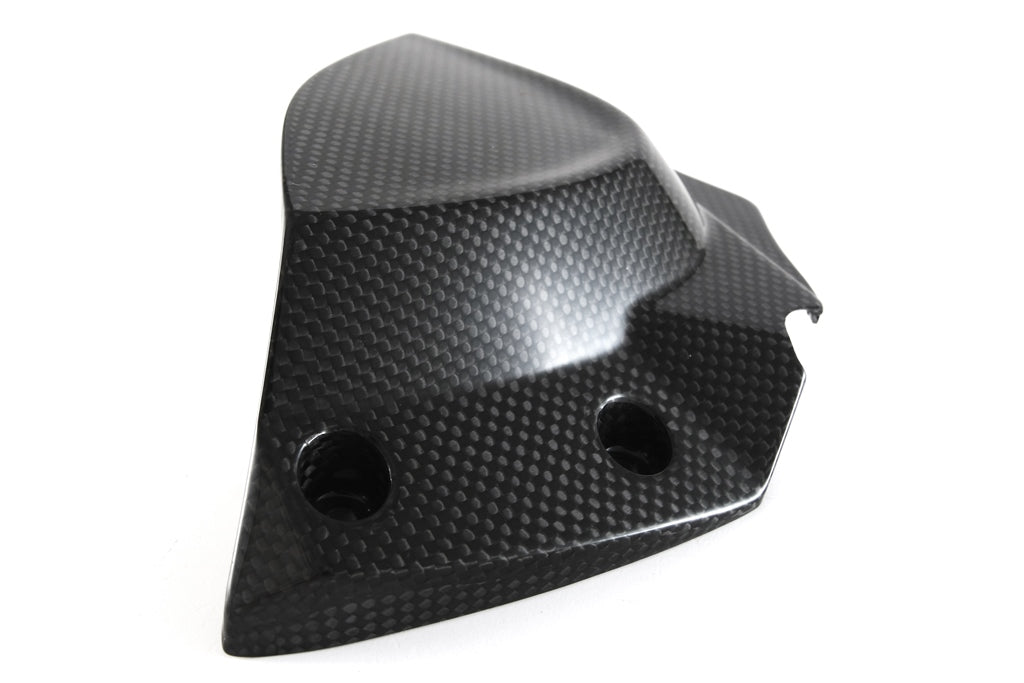 Fullsix Carbon Sprocket Cover