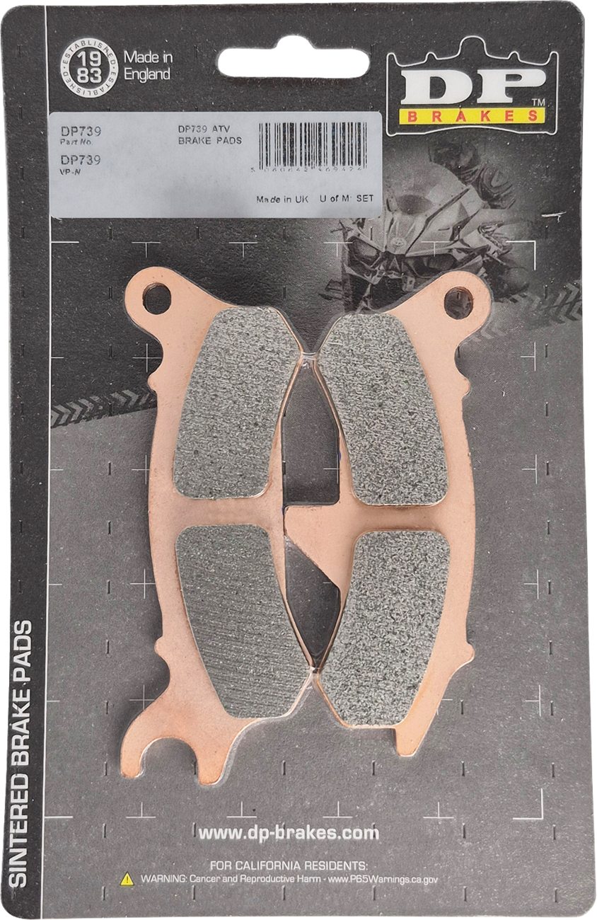 DP Brakes Sintered Brake Pads - Kawasaki Ridge Ranch - Front Right