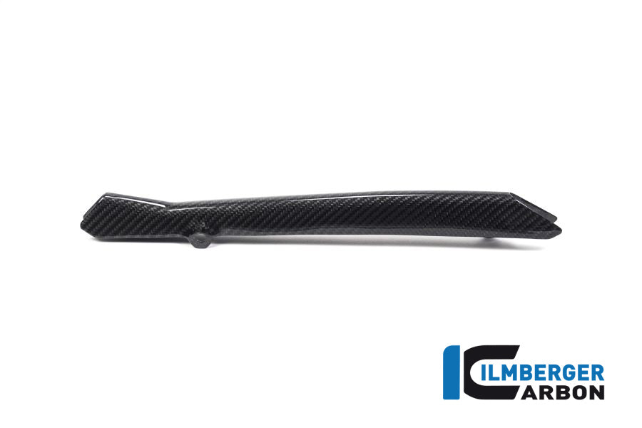 Ilmberger Carbon Brake-Pipe Cover BMW R 1250 GS