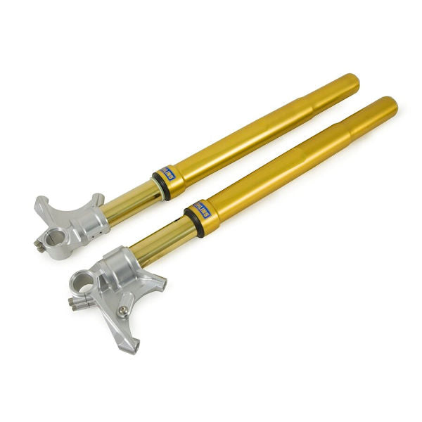 Ohlins FGRT 232 Road &amp; Track Gold Front Forks for S1000RR M1000RR K67
