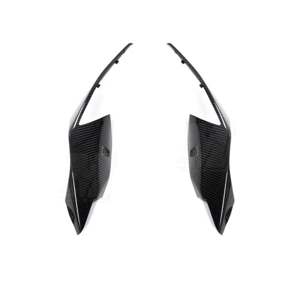 Ilmberger Carbon Fiber Rear Tail Side Panel Set for S1000RR 2019 2020
