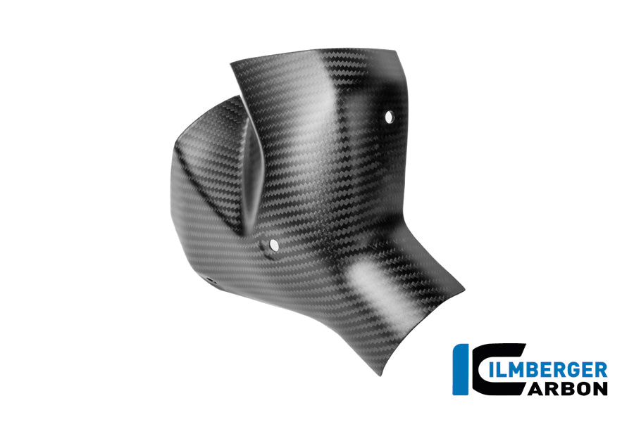 Ilmberger Carbon Exhaust Heat Shield Kit BMW R 1300 R - Matte / Twill