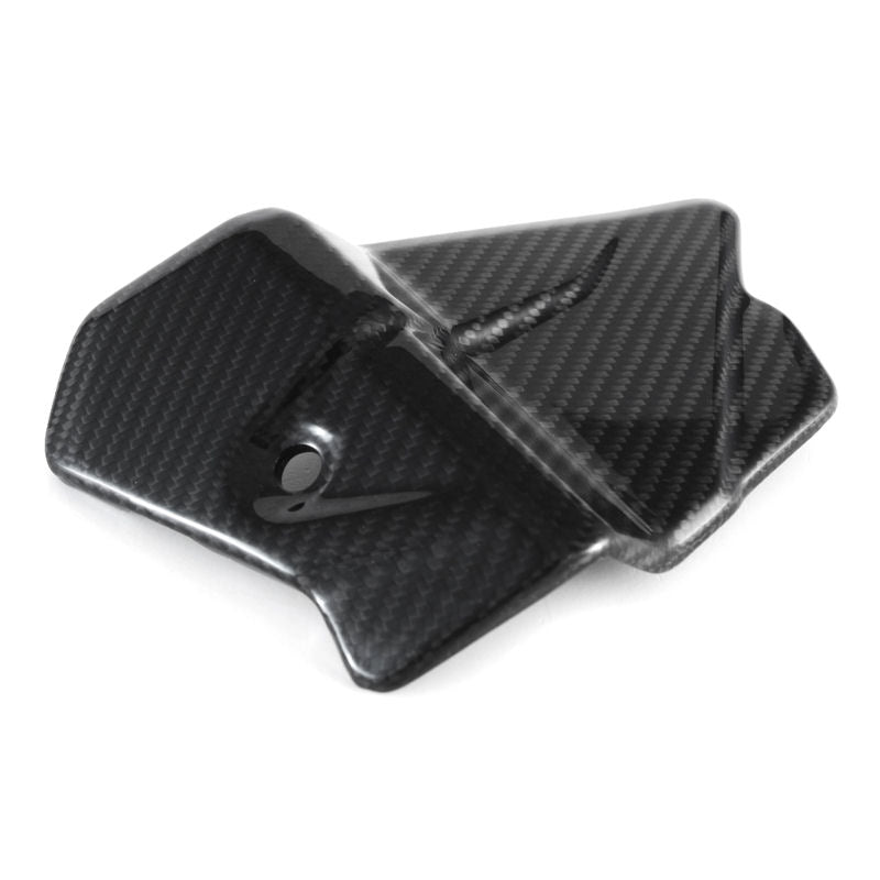 Fullsix Carbon Fiber Electronics Cover BMW S1000R M1000R K63