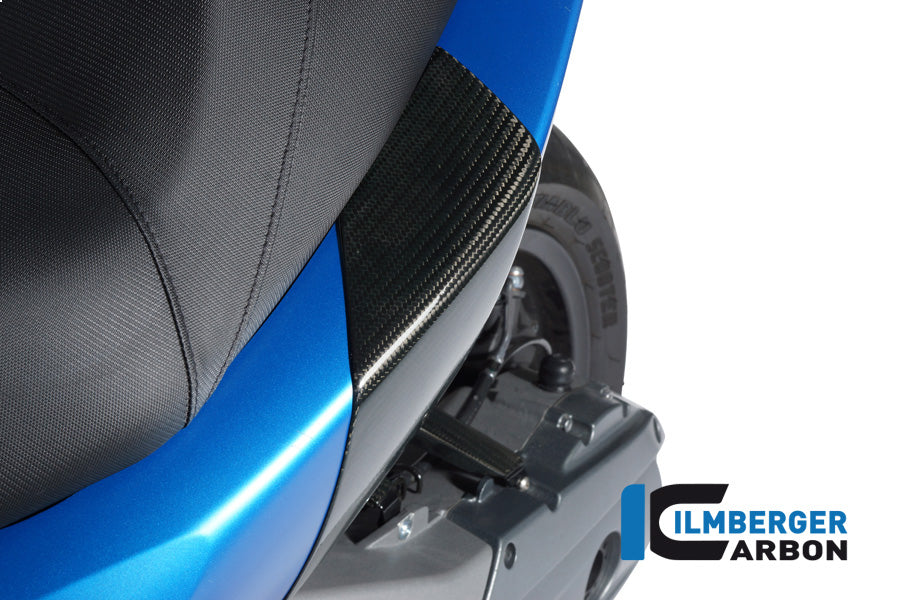 Ilmberger Carbon Rear Crash Pad (2pcs) C600 Sport