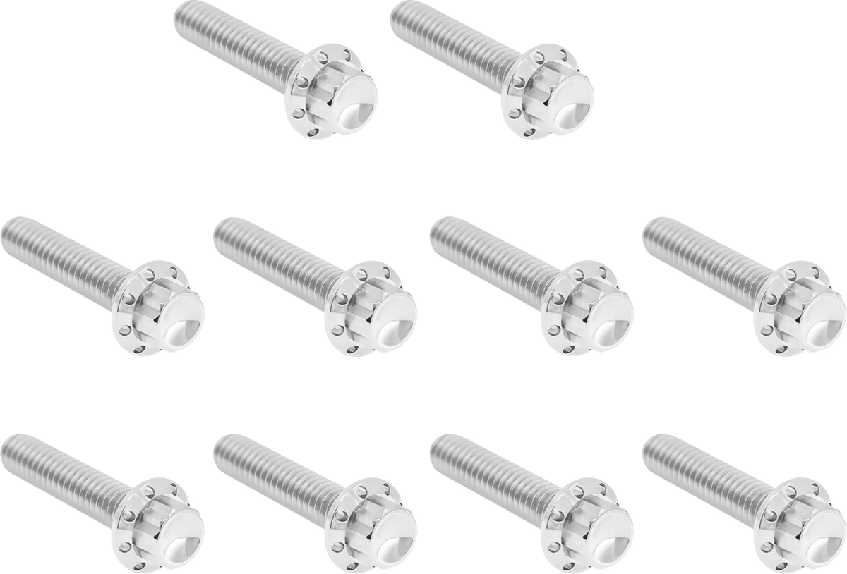 Arlen NESS Cam Cover/Point Cover Titanium 12-Point Bolt Kit