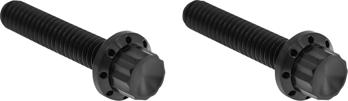 Arlen NESS Transmission Side Cover Titanium 12-Point Bolt Cover