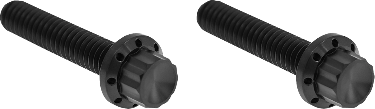 Arlen NESS Transmission Side Cover Titanium 12-Point Bolt Cover