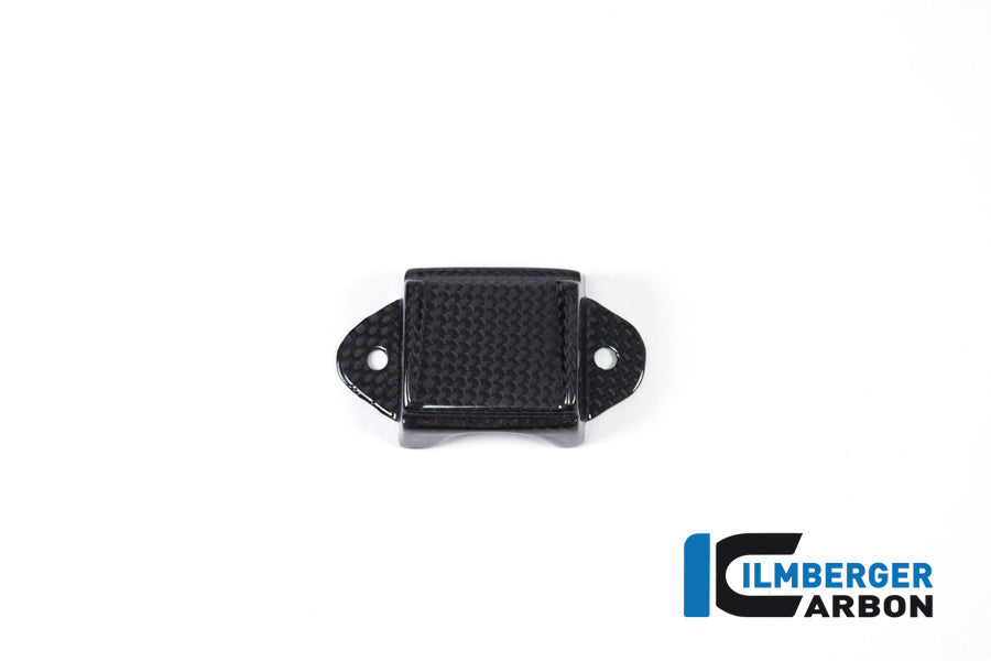 Ilmberger Carbon Instrument Cover Ducati Panigale V4 / V4 S - Gloss