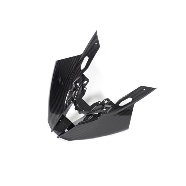 Ilmberger Carbon Fiber Headlight Front Fairing Panel BMW S1000RR K67