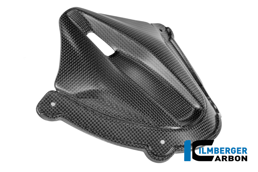 Ilmberger Carbon Instrument Cluster Cover Ducati Panigale V4 2025-2026 - Matte / Plain