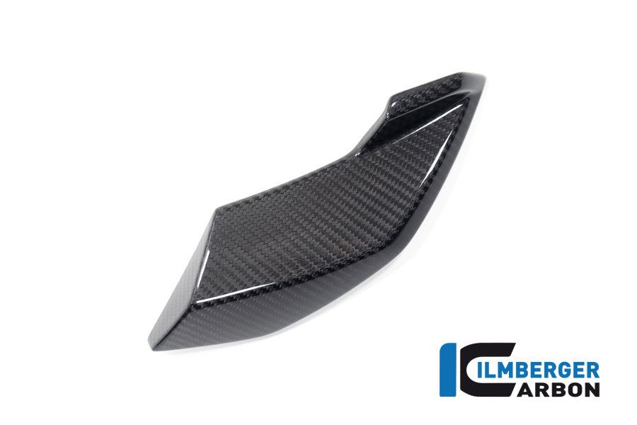Ilmberger Carbon Side Cover Headlight Left Side BMW S 1000 R MY From 2021 / M 1000 R MY From 2023