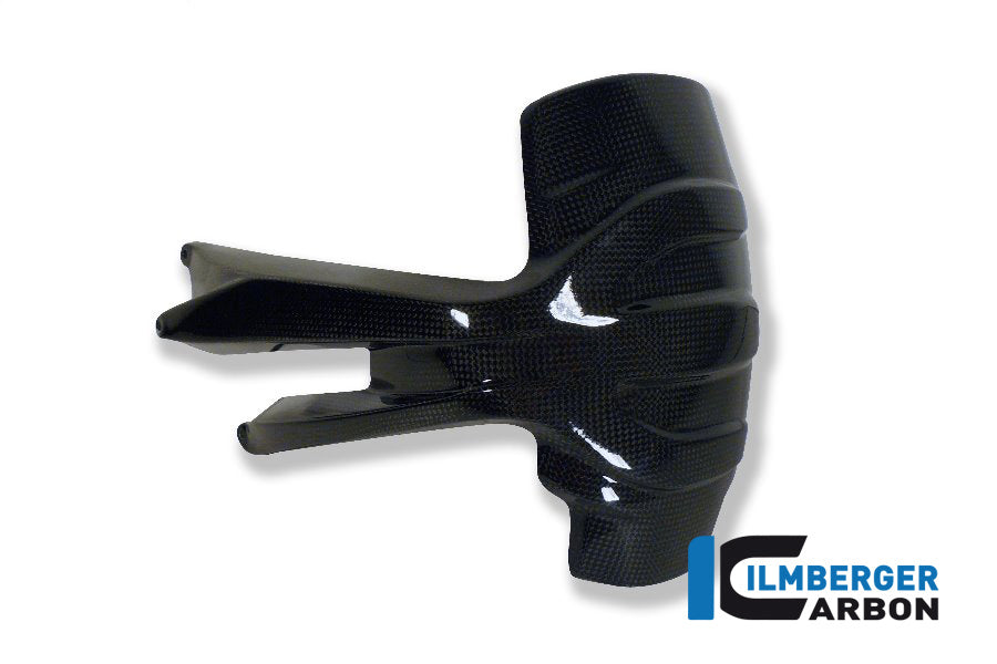 Ilmberger Carbon Splash Guard BMW 1200GS '13