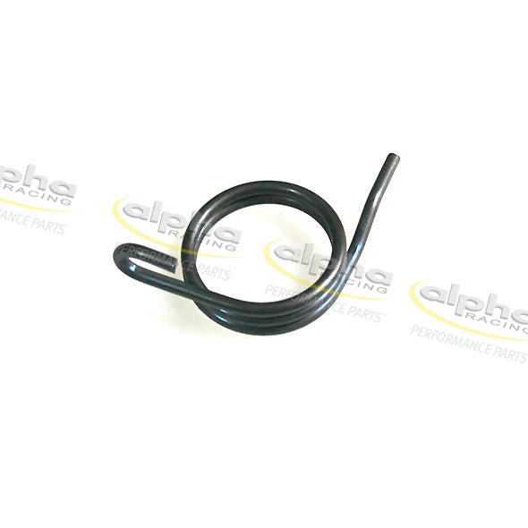 Shift detent spring