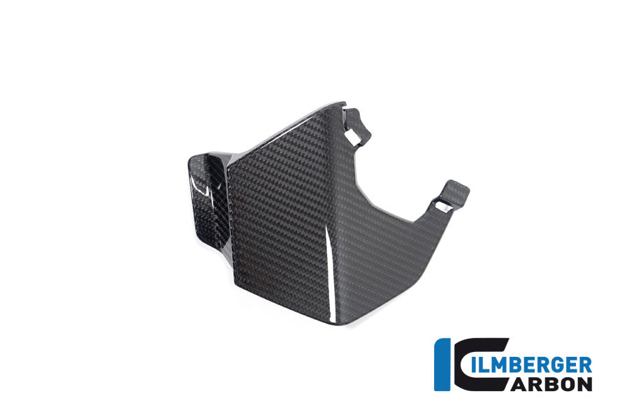 Ilmberger Carbon Upper Wing Right BMW M 1000 XR 2024