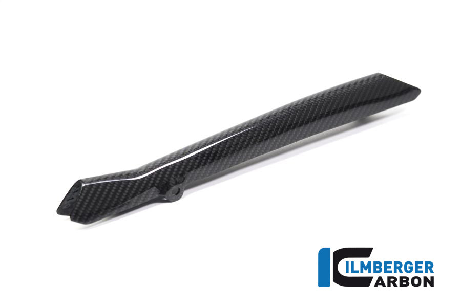 Ilmberger Carbon Brake-Pipe Cover BMW R 1250 GS