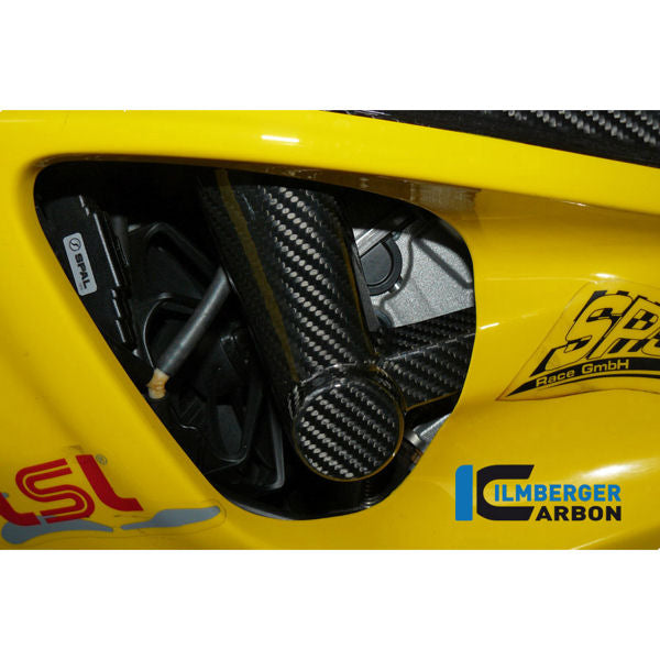 Ilmberger Carbon Fiber Frame Slider Crash Pads for BMW S1000RR