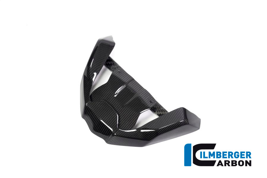 Ilmberger Carbon Front Beak Front Extension BMW R 1250 GS