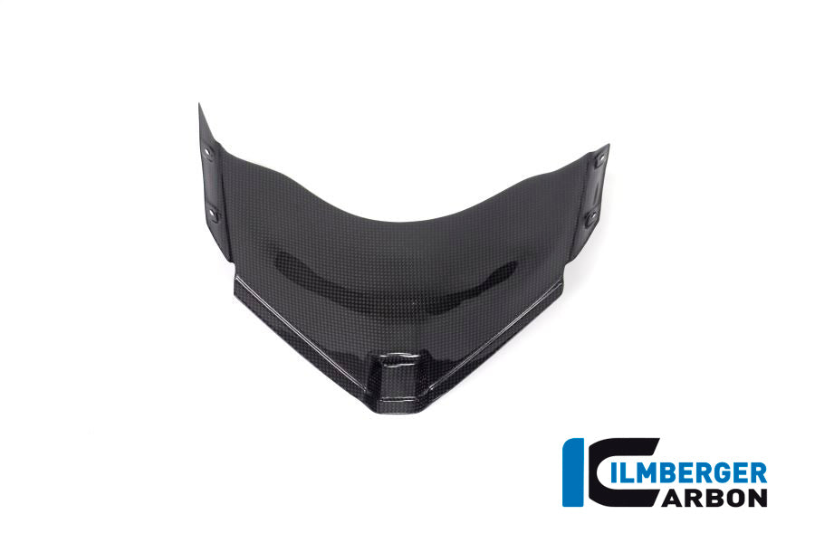 Ilmberger Carbon Panel Under The Front Fairing Ducati Panigale V4 Racing