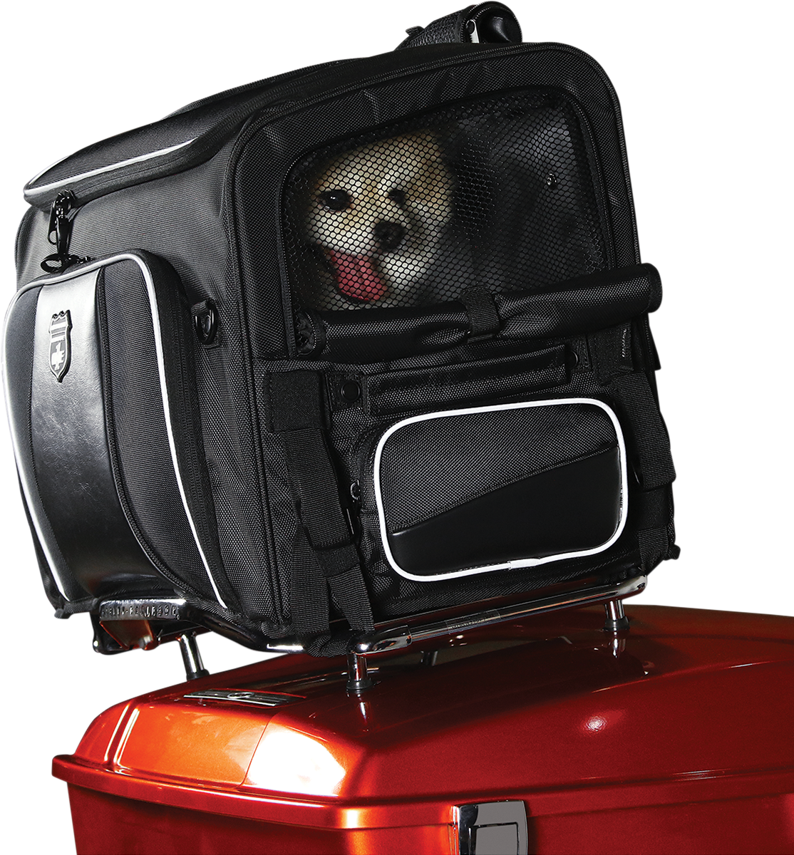 Nelson RIGG Route 1 Rover Pet Carrier - Black
