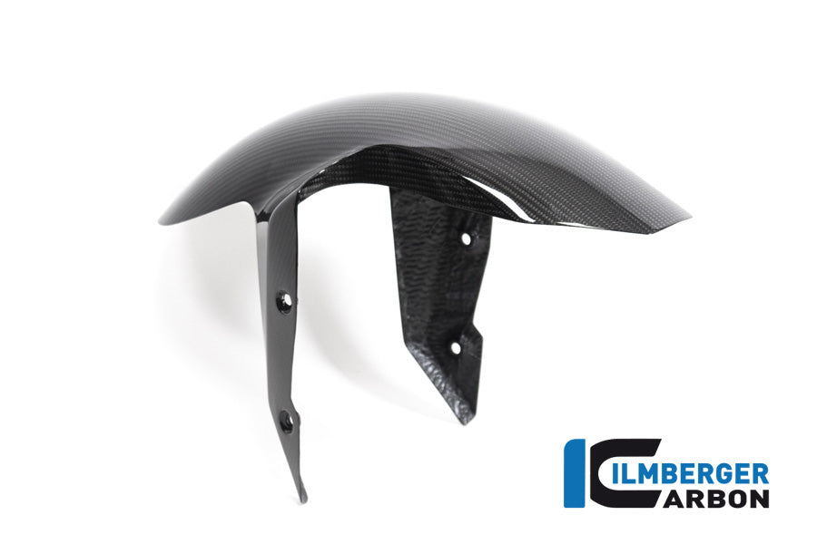 Ilmberger Carbon Front Fender BMW R 1250 R MY From 2019
