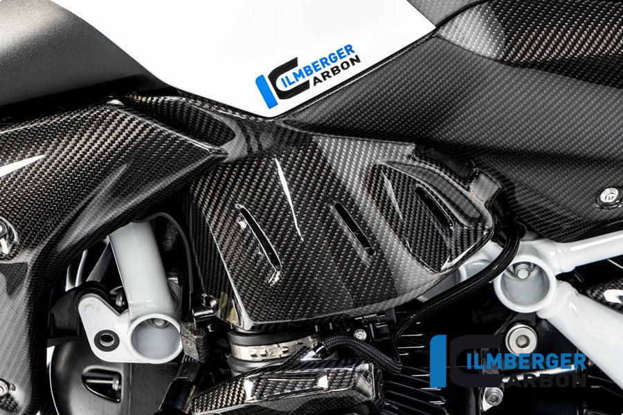 Ilmberger Carbon Side Panel Under The Tank Left BMW R 1250 R
