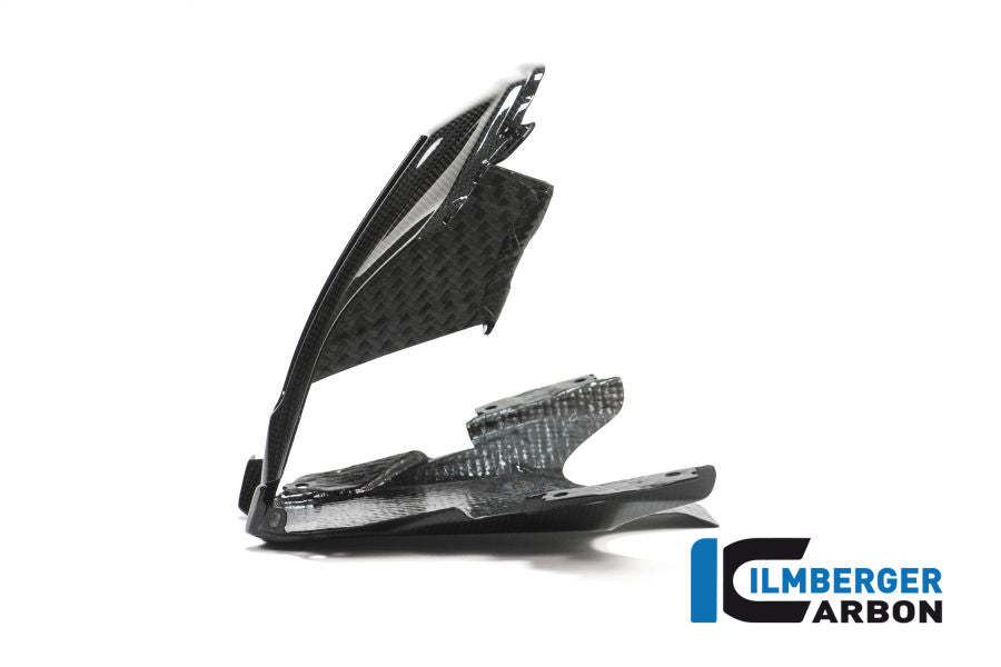 Ilmberger Carbon Verkleidungsmitterteil Oben BMW R1200RS'15