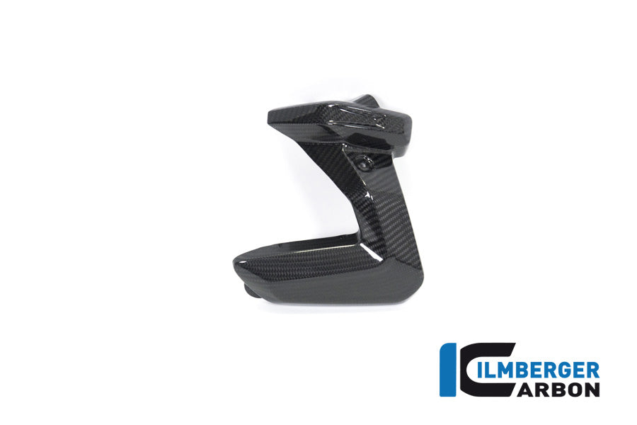 Ilmberger Carbon Spark Plug Cover Left Side BMW R 1250 GS / R 1250 R, And RS