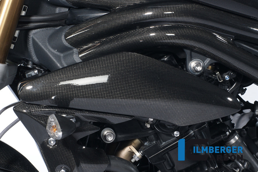 Ilmberger Carbon Side Cover Above The Radiator Left Carbon