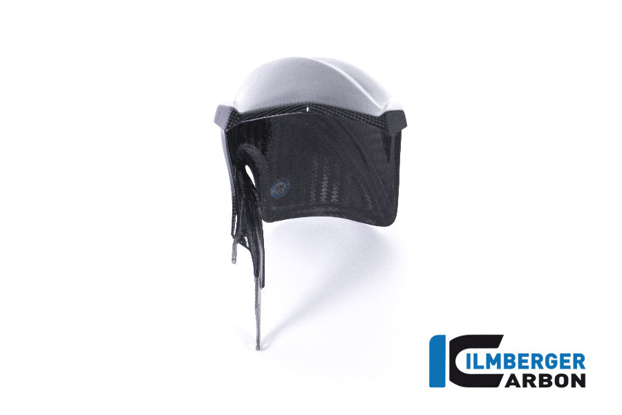 Ilmberger Carbon Rear Fender BMW R 1200GS'18