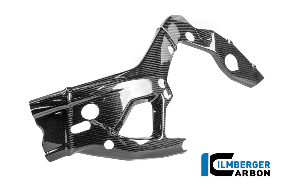 Ilmberger Carbon Rahmenschützer Links Carbon Glanz M 1000 RR Racing (Ab 2025)