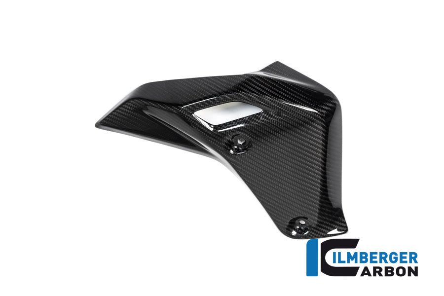 Ilmberger Carbon Watercooler Cover Right Side BMW R 1250 R