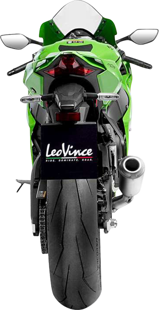 LeoVince Cat Eliminator Link Pipe