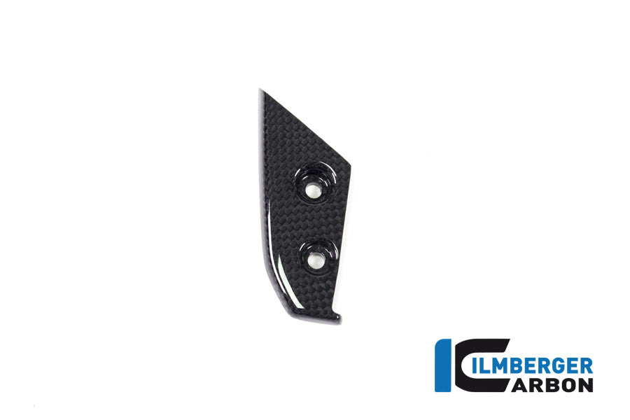 Ilmberger Carbon Instrument Cover Ducati Panigale V4 / V4 S - Gloss