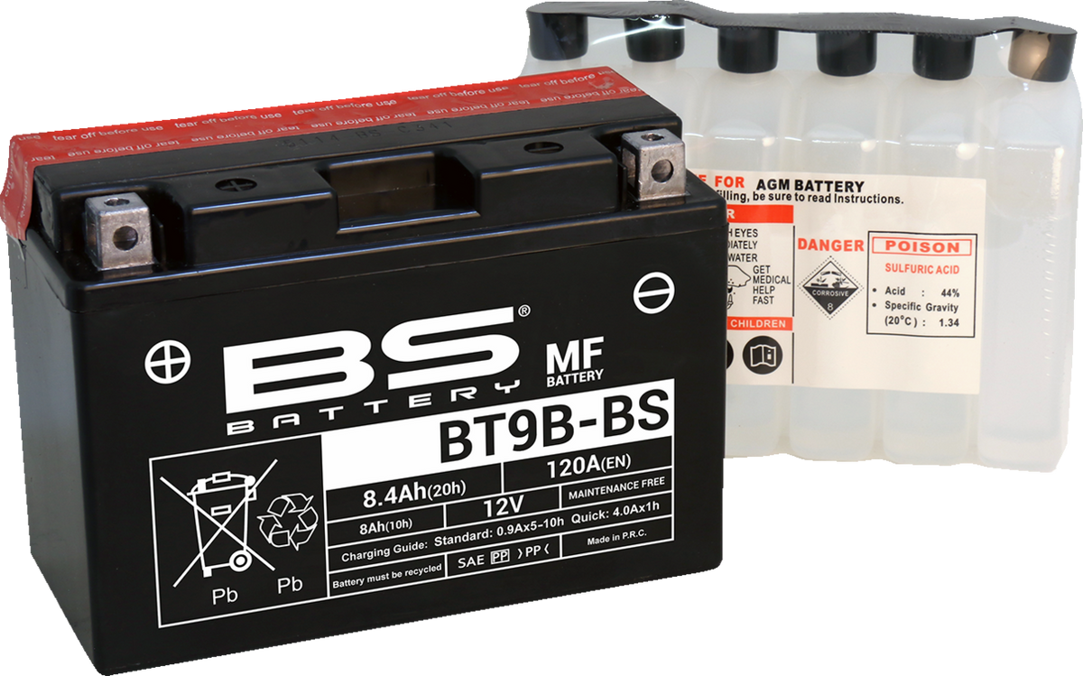 BS Battery Battery - BT9B-BS (YT)