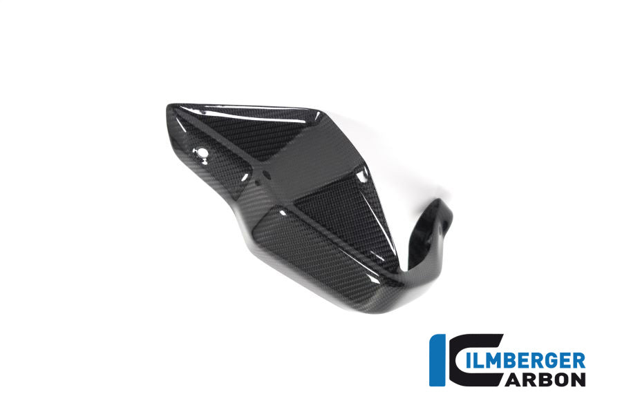Ilmberger Carbon Hand Protector Left Side BMW R 1250 GS