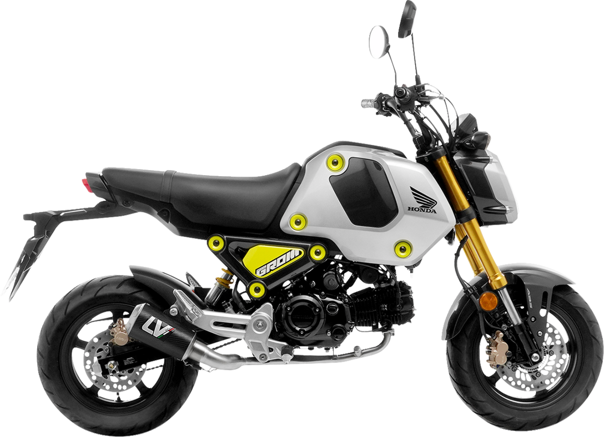 LeoVince LV-10 Exhaust System