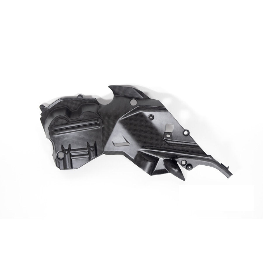 Ilmberger Carbon Fiber Right Side Engine Cover Ducati Diavel V4