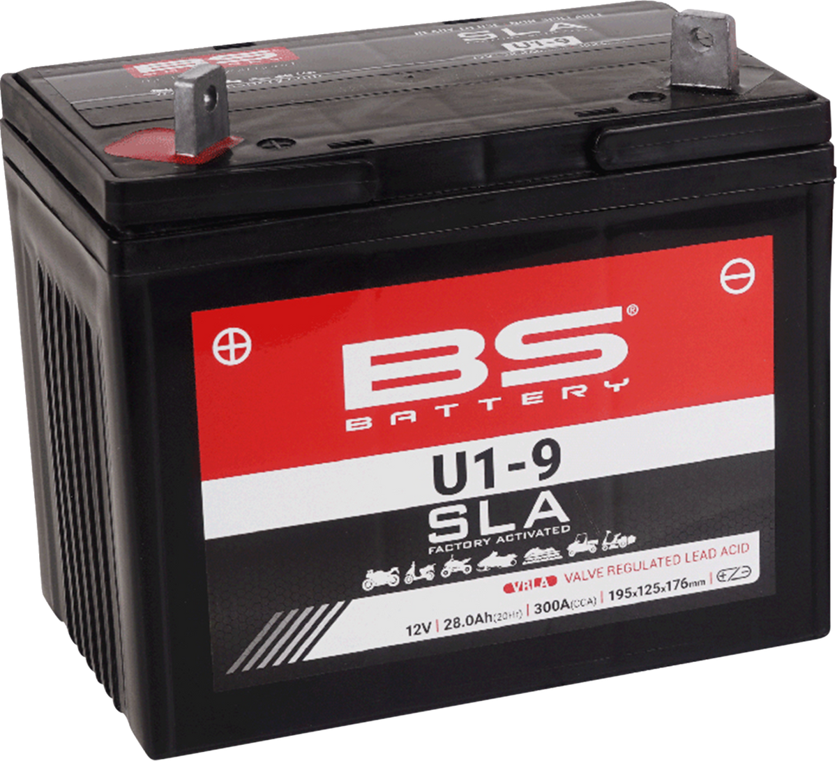 BS Battery Battery - U1-9