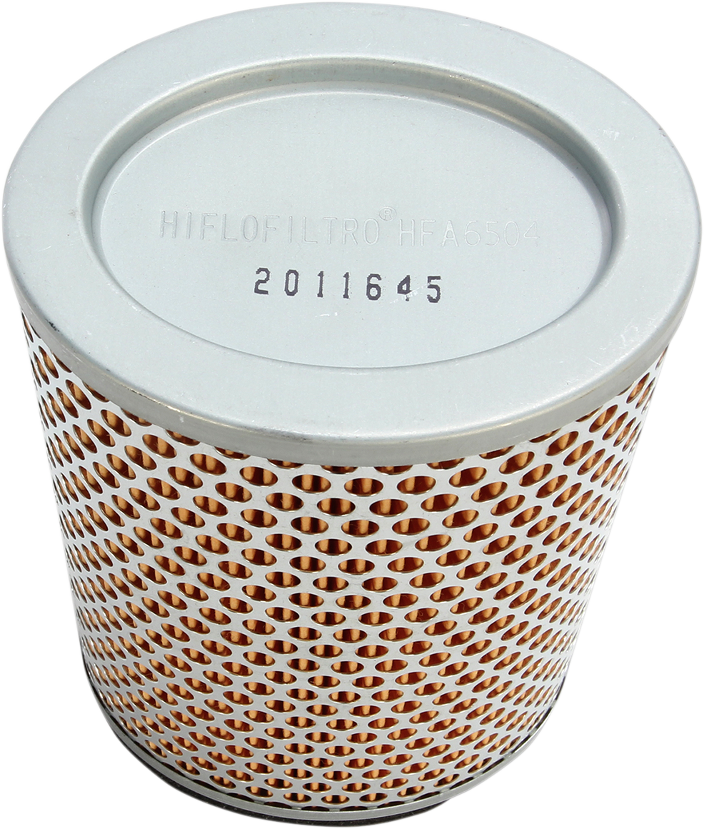 Hiflofiltro Replacement Air Filter - Triumph