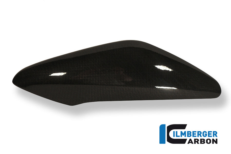 Ilmberger Carbon Side Cover Above The Radiator Right Carbon