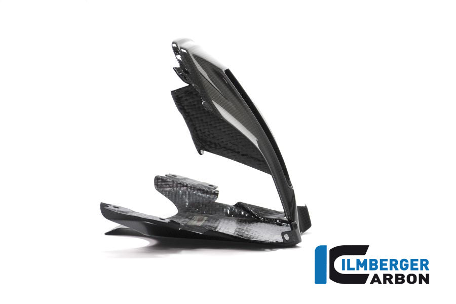 Ilmberger Carbon Verkleidungsmitterteil Oben BMW R1200RS'15