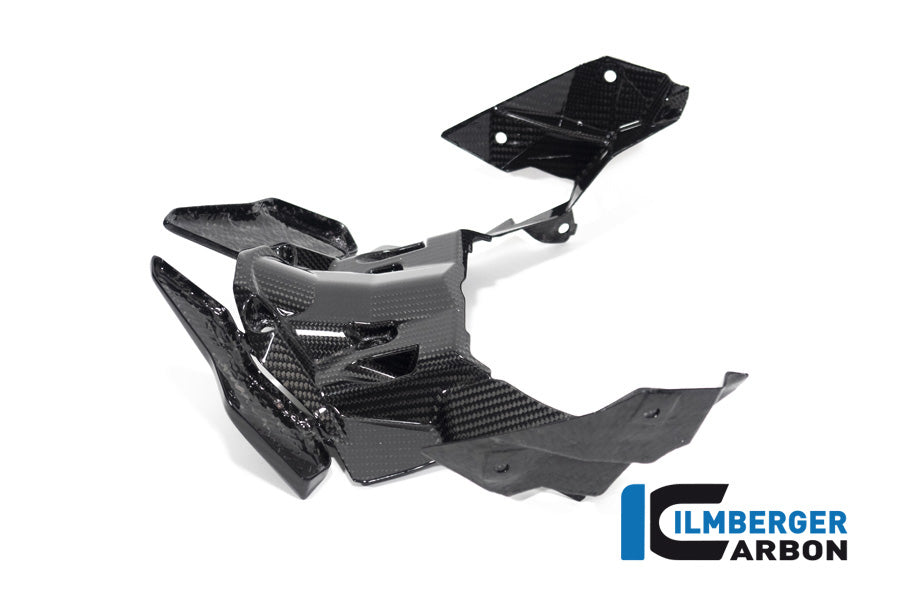 Ilmberger Carbon Front Beak Extension S 1000 XR From MY 2020